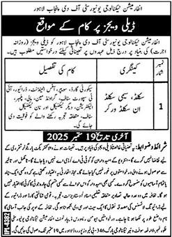 Jobs in University of the Punjab Lahore